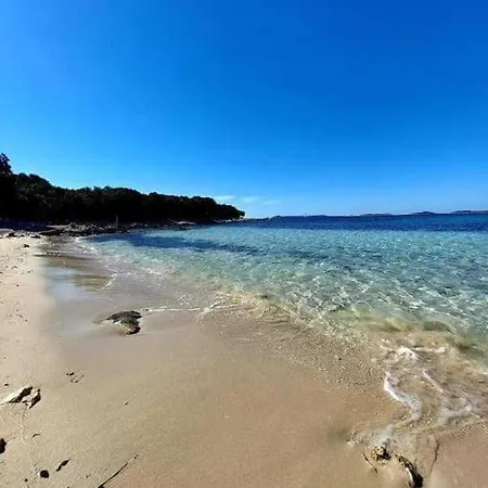 Yellow Submarine Daire